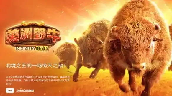 美洲野牛老虎机游戏介绍-开云体育